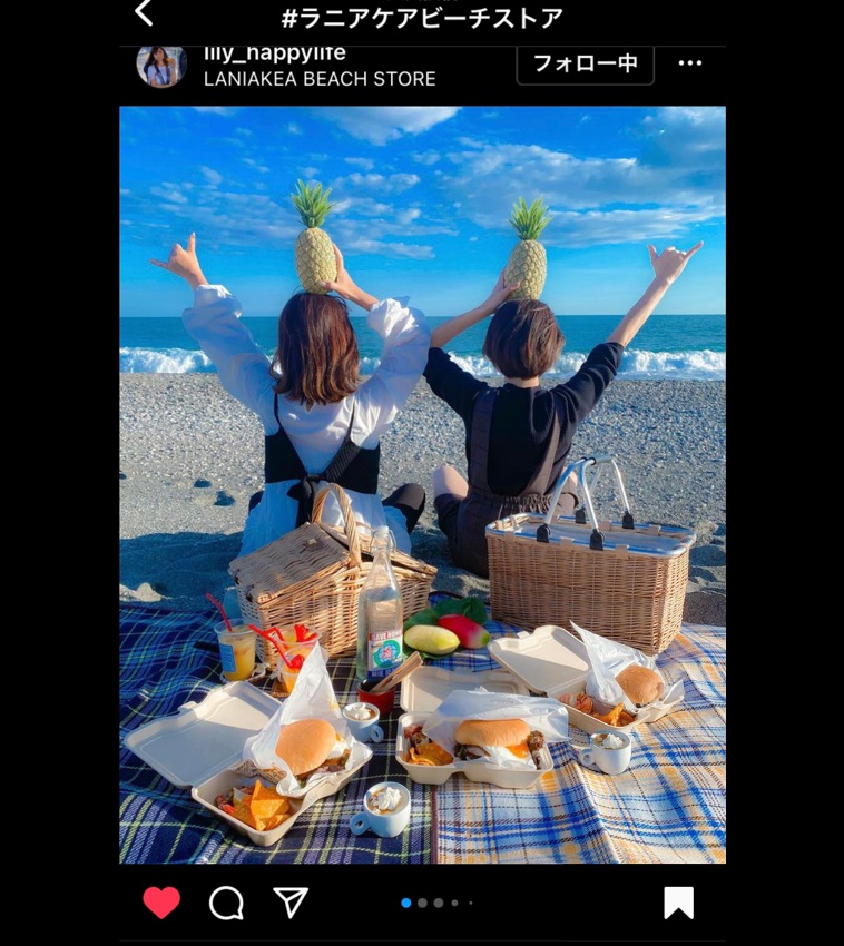 ピクニック ビーチピクニック［詳細］ | ALOHA VILLAGE【高知市春野町ハワイ料理】