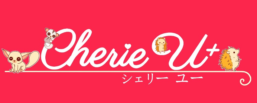 爬虫類SHOP【Cherie U+】 