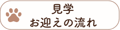 見学お迎えの流れ