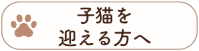 子猫を迎える方へ
