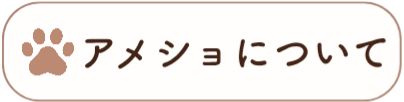 アメショについて