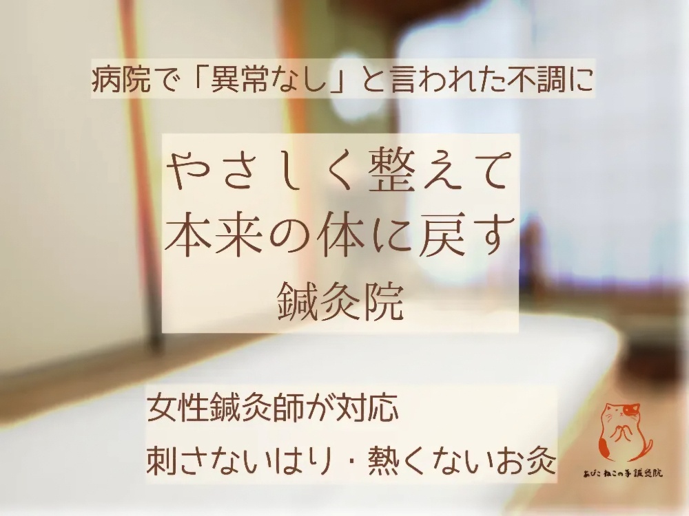 あびこ　ねこの手鍼灸院