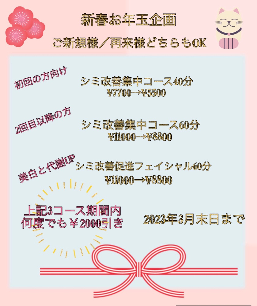 新春お年玉企画コース