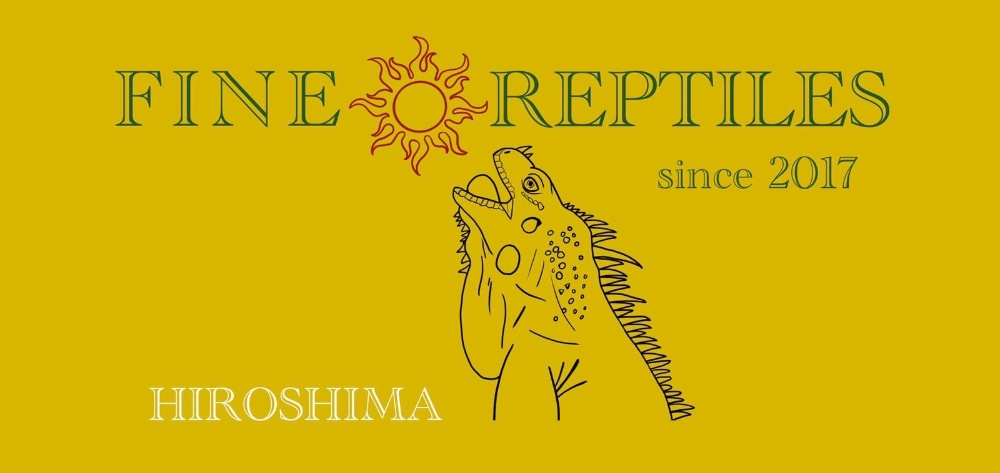 FINEREPTILESファインレプタイルズ