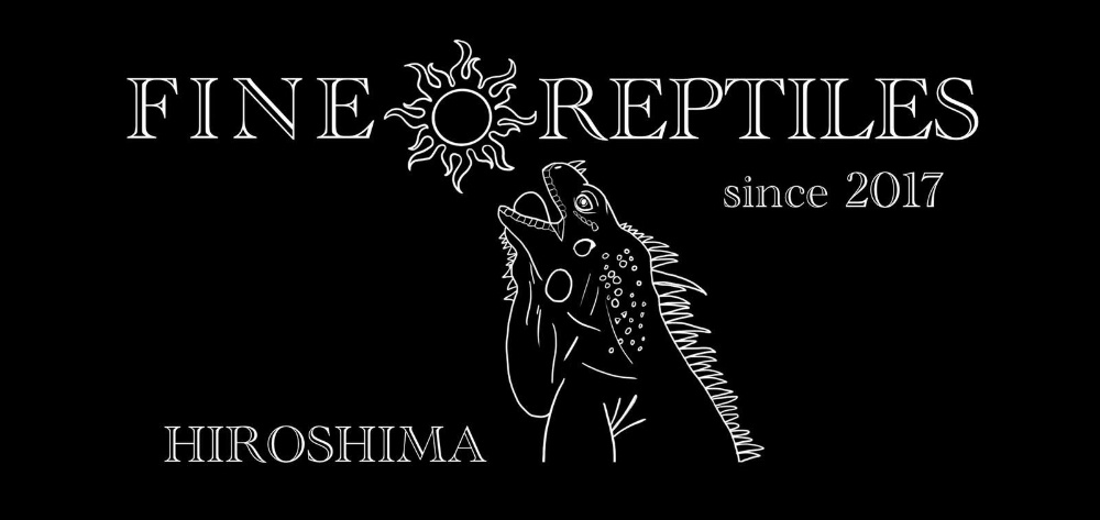 FINEREPTILESファインレプタイルズ