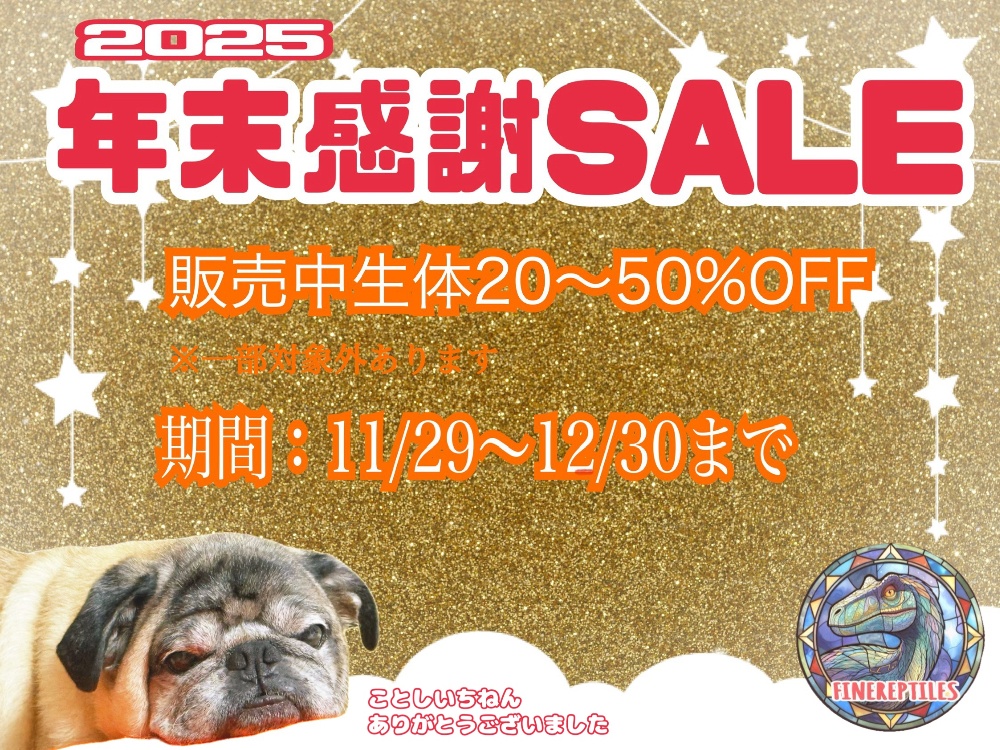 FINEREPTILESファインレプタイルズ