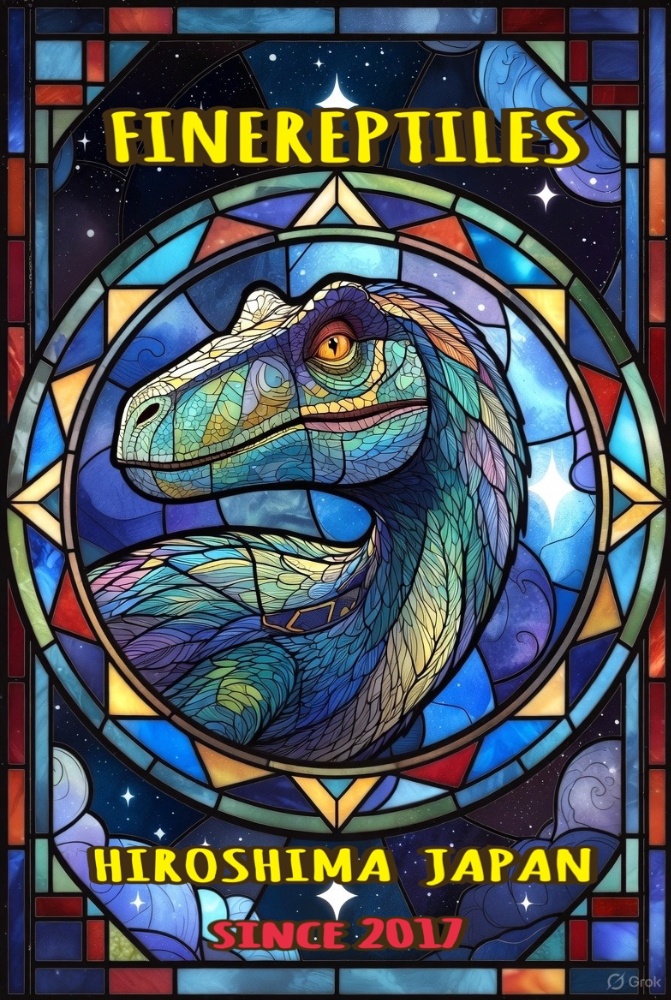 FINEREPTILESファインレプタイルズ