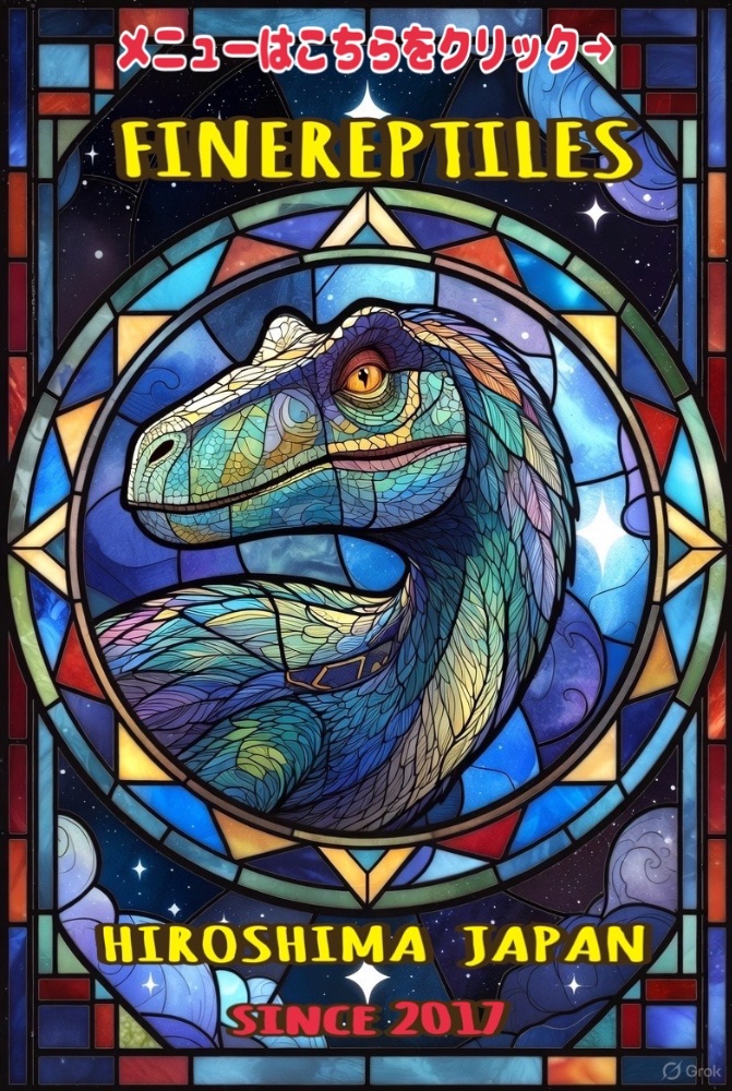 FINEREPTILESファインレプタイルズ