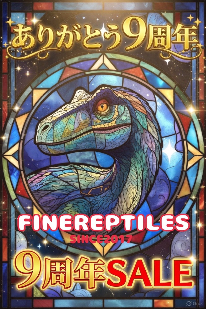 FINEREPTILESファインレプタイルズ
