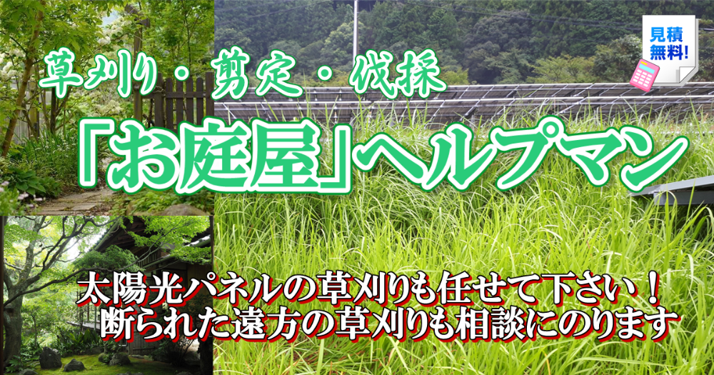 和歌山の草刈・剪定・木伐採