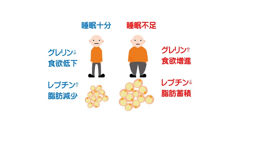 レプチンは他の皮膚疾患にも寄与しますか?