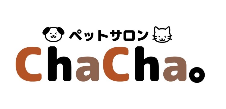 ペットサロンCHACHA。 ちゃちゃ 尼崎 猫 トリミング カット トリミングサロン チャチャ 