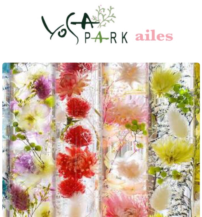楽痩せ・妊活・体質改善 プライベートサロン YOSA PARK ailes