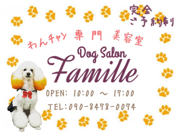Dog Salon Famille ドッグサロン ファミーユ
