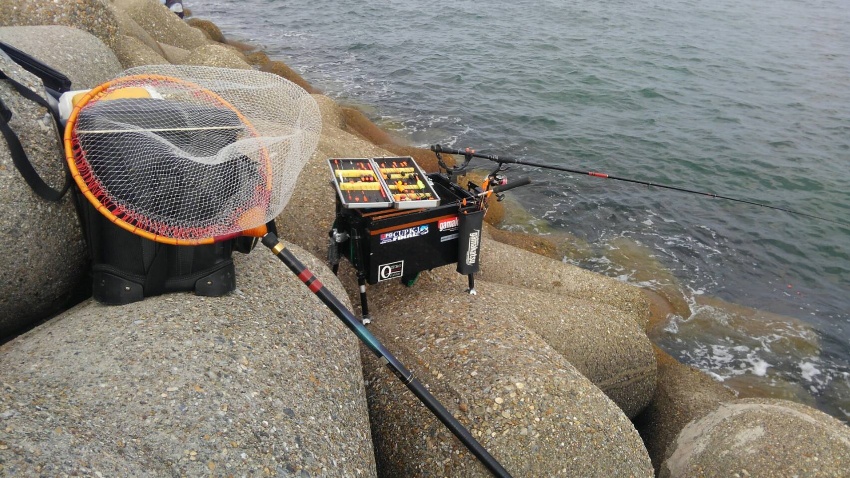 サイトタイトル