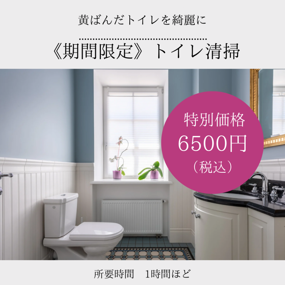 トイレ清掃、東京都、神奈川県、埼玉県、世田谷区、ハウスクリーニング、年末清掃