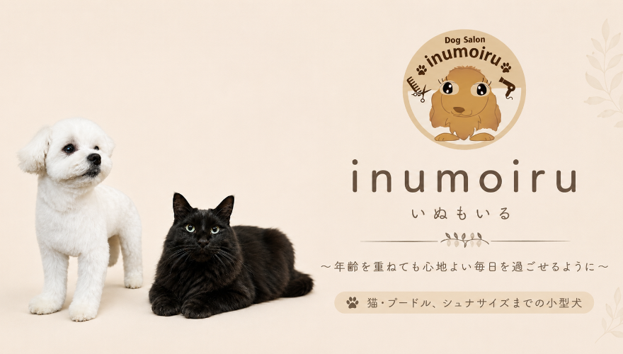 DogSalon  inumoiru