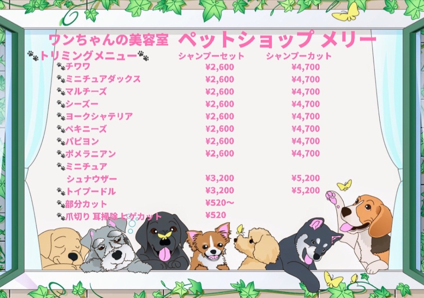 ワンちゃん美容室 ペットショップ メリー