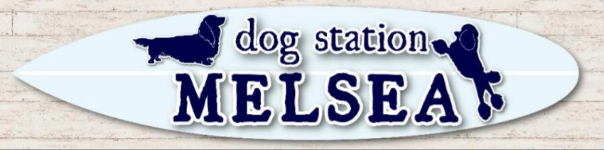 dog station MELSEA〜高知県須崎市のトリミングサロン〜