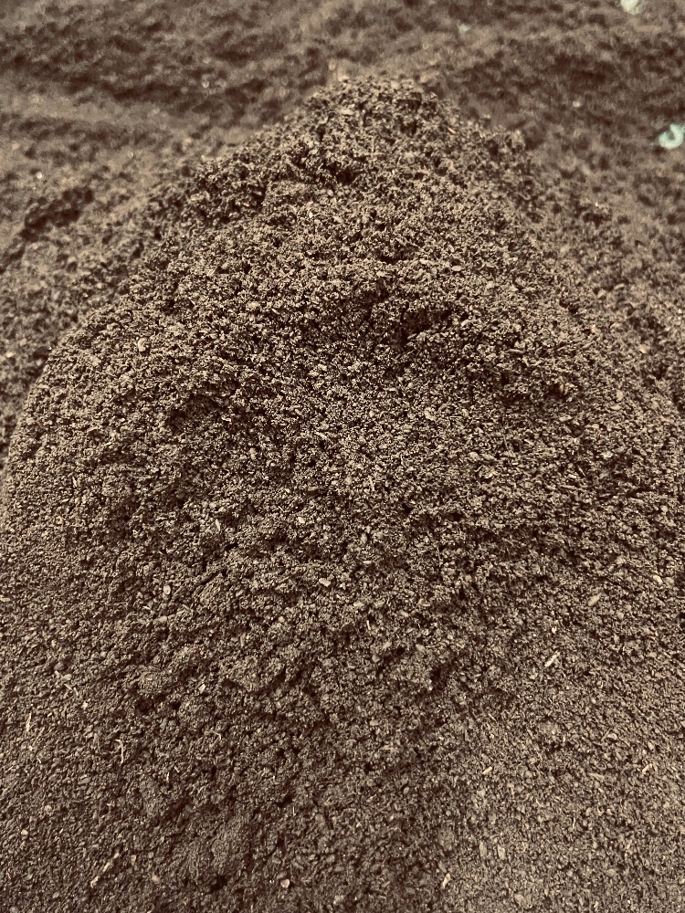 飼育用品 | 昆虫Shop 樹液酒場