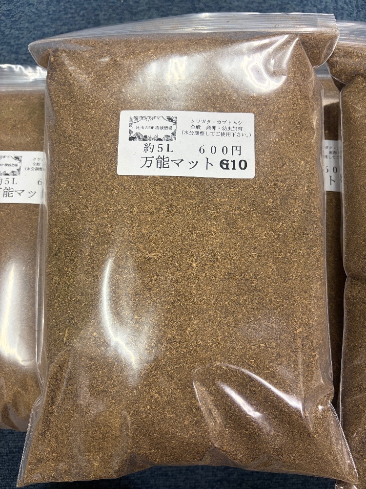 飼育用品 | 昆虫Shop 樹液酒場