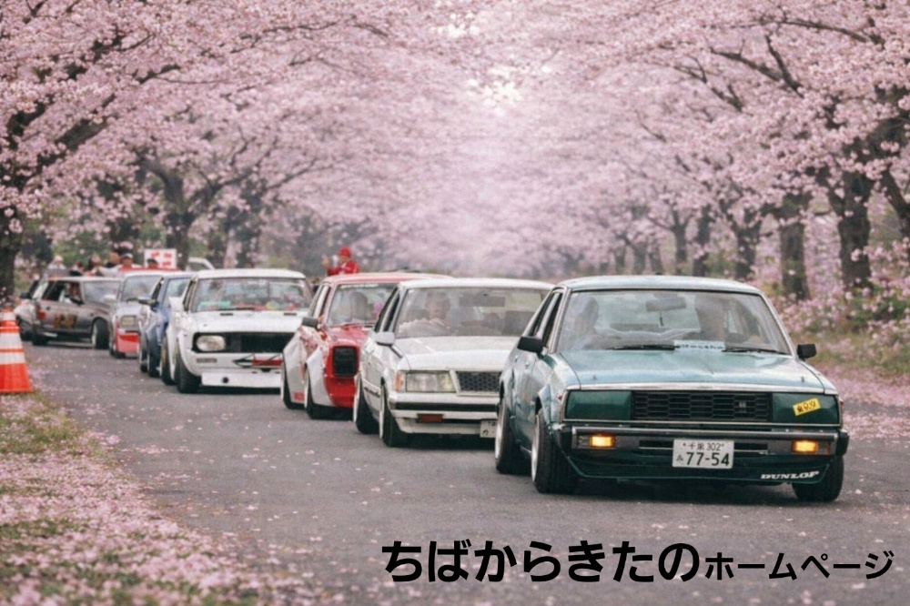 ちばからきたの