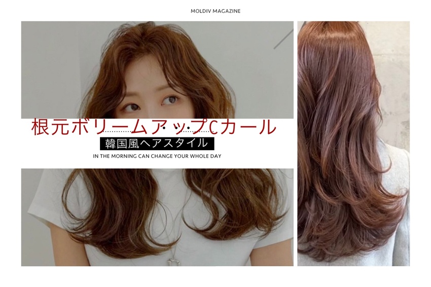 韓国ヘアスタイルphoto Hair Beauty Zoan マンツーマンプライベート美容室