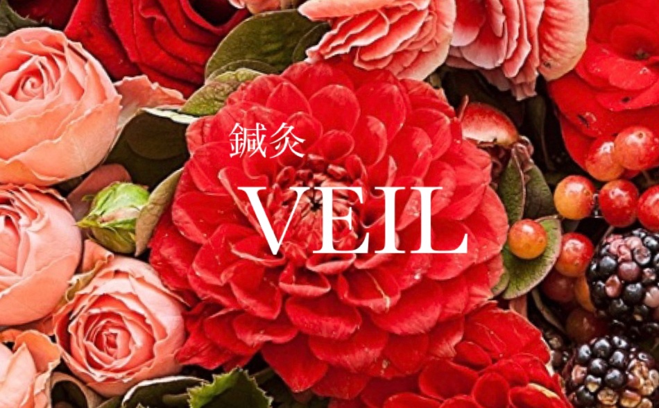 鍼灸 VEIL