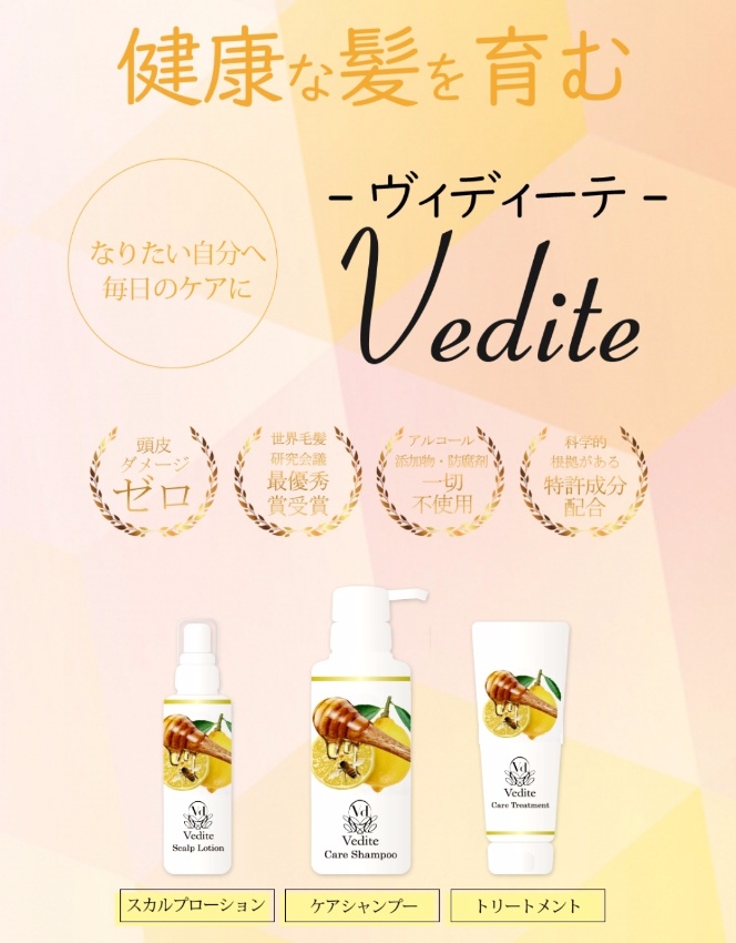 ヴィディーテ Vedite3点 スカルプローション シャンプー