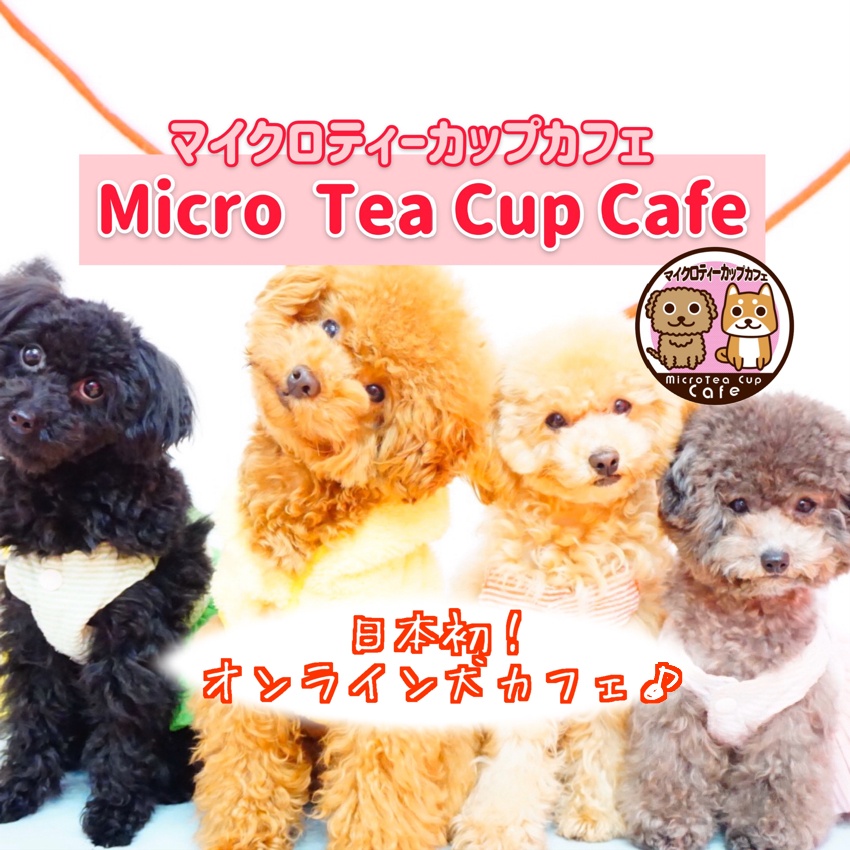Micro Tea Cup Cafe
