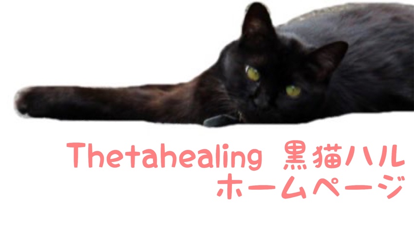 Thetahealing 黒猫ハル 