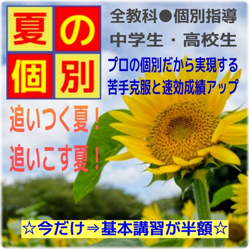 夏の個別（夏期講習）