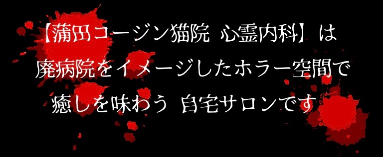 蒲田コージン猫院 心霊内科 トップページ | 蒲田コージン猫院 心霊内科