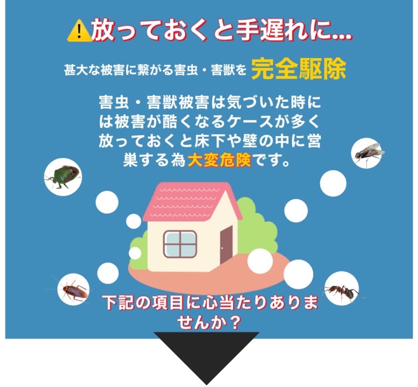 関西エリア特化で24時間対応 発生源不明のハエ コバエ巣まで確実に駆除 暮らしの救急車