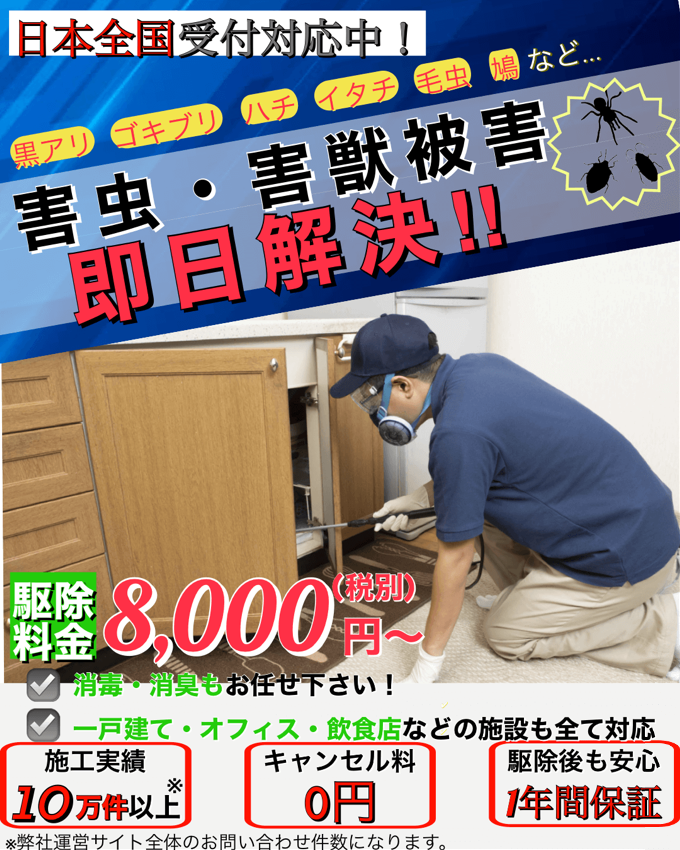 兵庫県の害虫被害なら弊社に全てお任せ 被害を迅速に解決 暮らしの救急車