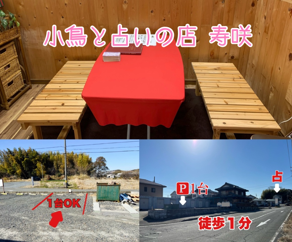 　小鳥と占いの店 寿咲（じゅさ）