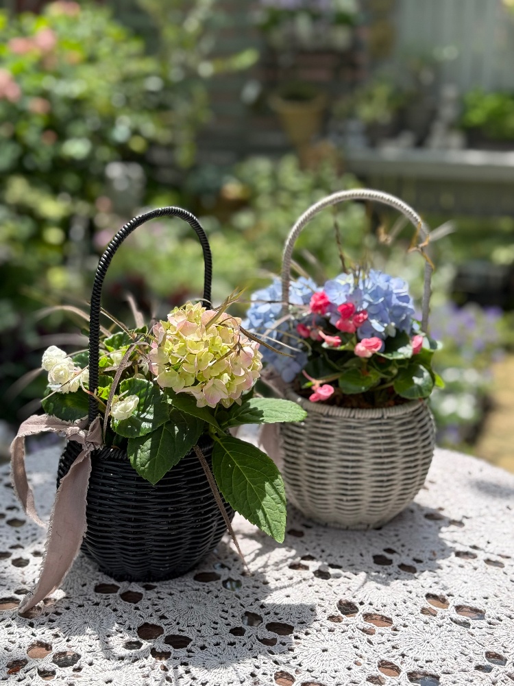 ☘️『四季咲き紫陽花バスケット』花あそび④　6月14日(土)