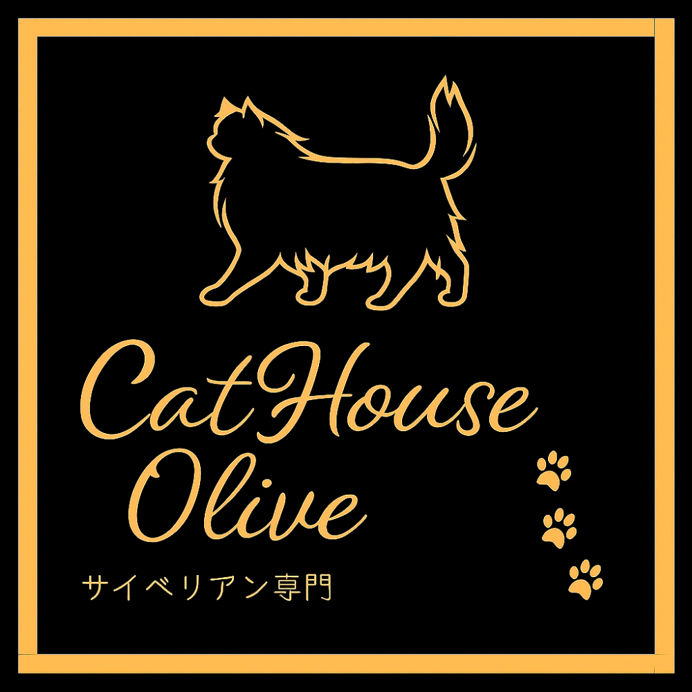 【CatHouse Olive】 ﾌﾞﾘ-ﾀﾞ-直販  千葉県　サイベリアン