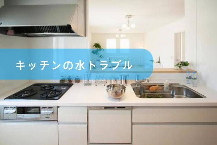 キッチンの水道トラブルに関する修理内容や料金説明用イメージ｜蛇口水漏れや排水詰まりの修理案内