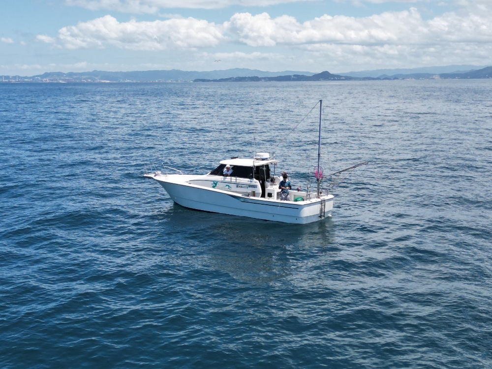 サイトタイトル