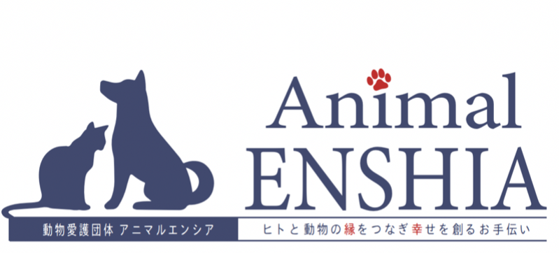 譲渡会 動物愛護団体 Animal Enshia