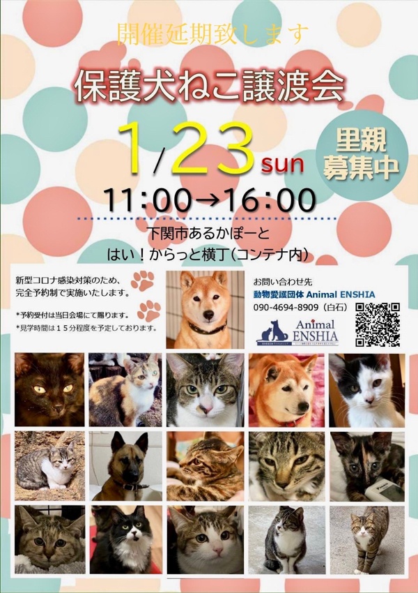 動物愛護団体 Animal Enshia