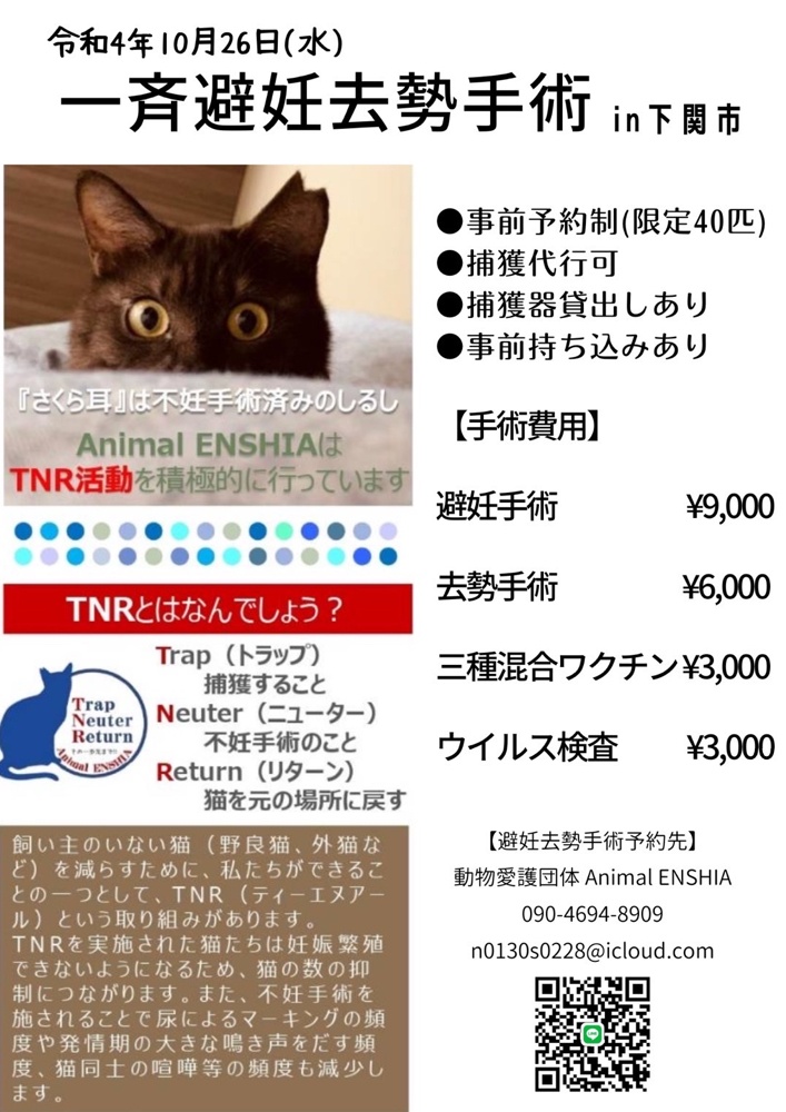 動物愛護団体 Animal Enshia