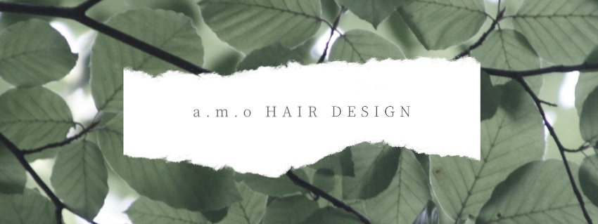 a.m.o HAIR DESIGN