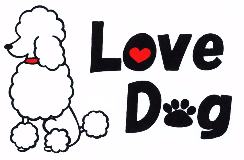 ペット美容室Love Dog