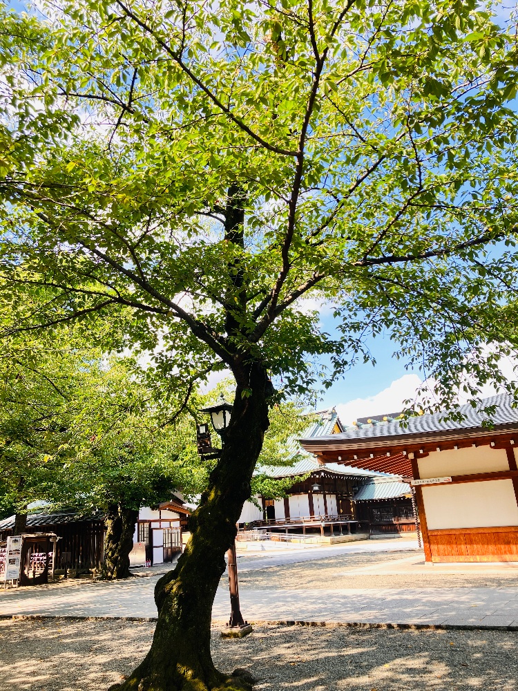 靖国神社