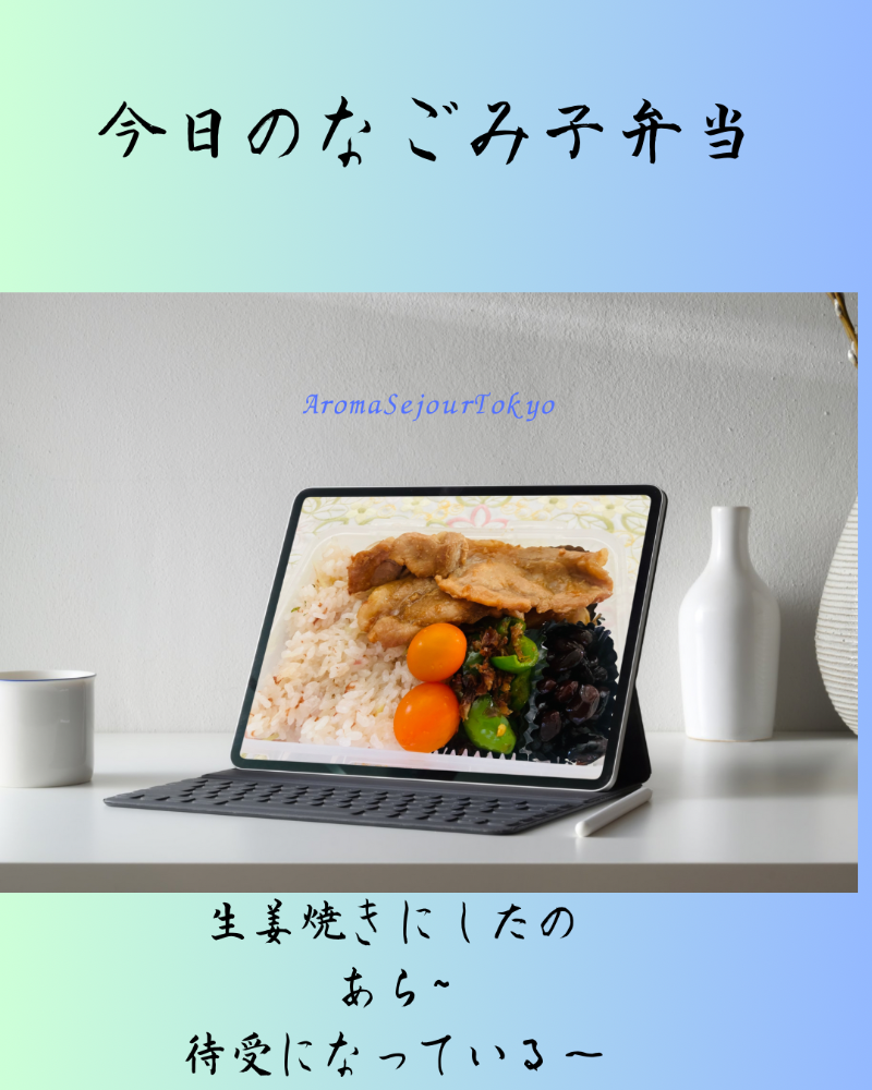 セジュール東京マッサージ