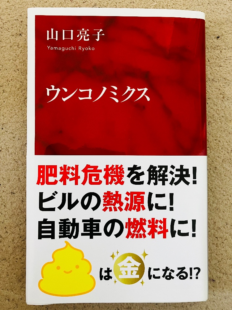 インターナショナル新書