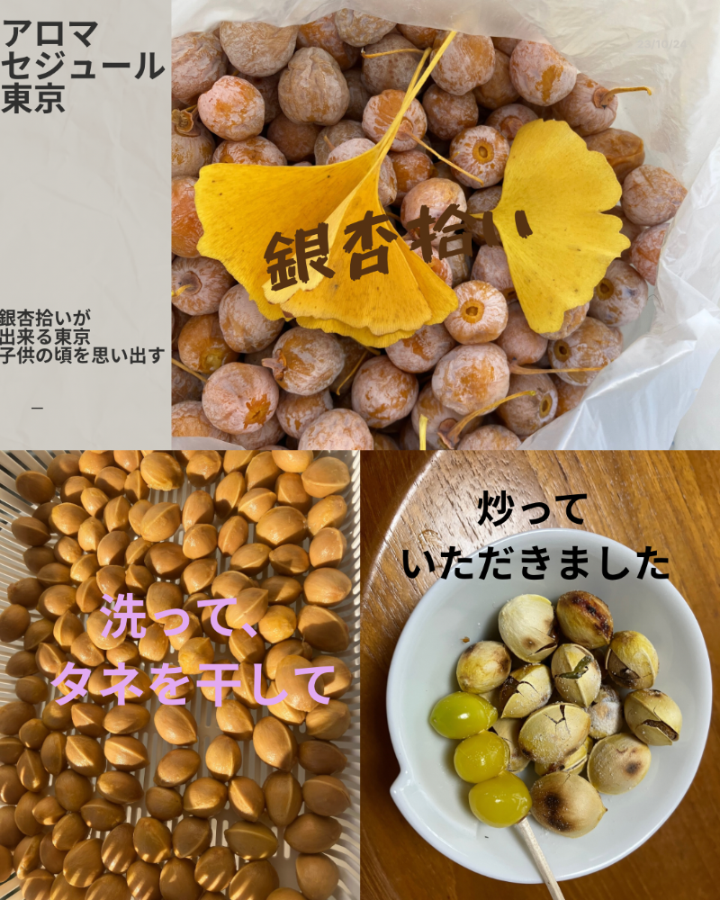 セジュールオーのセラピスト