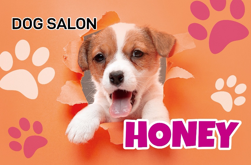 DOG SALON HONEY